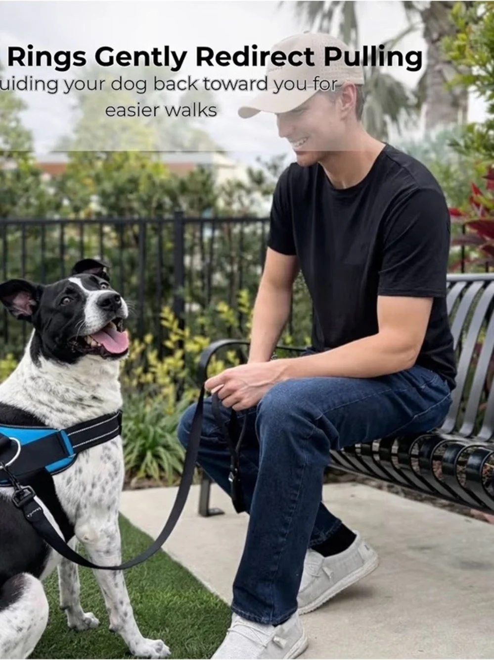 Shawnco Essential Dog Harness purple/blk XL